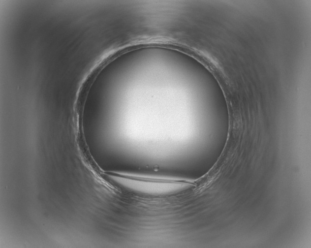 X0000072521414200608111708