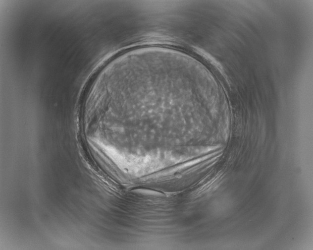 X0000072521415200608111708