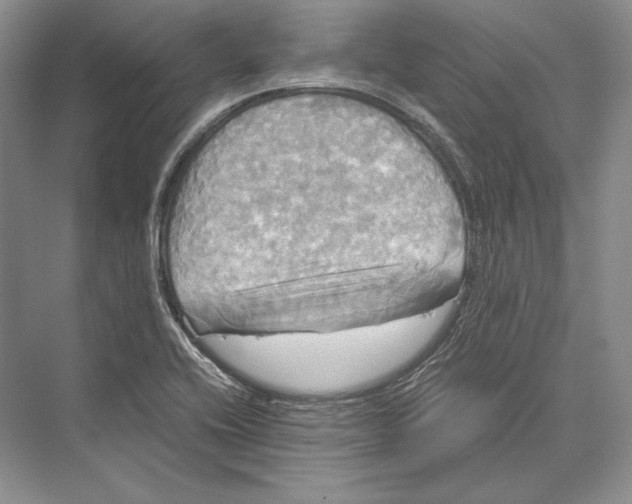 X0000072521416200608111708