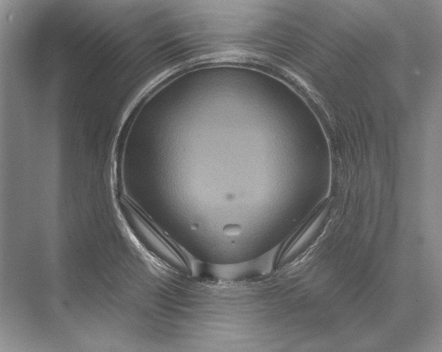 X0000072521418200608111708