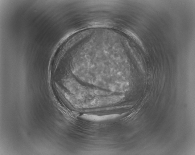 X0000072521419200608111708