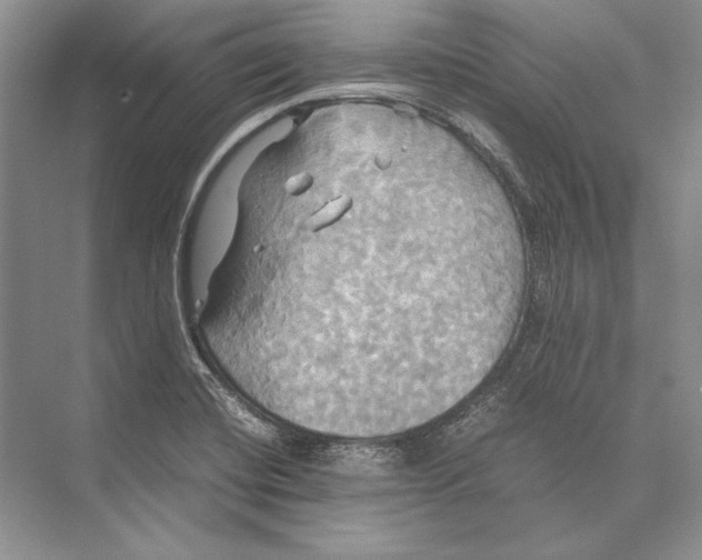 X0000072521420200608111708