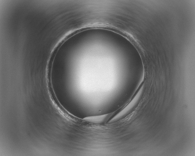 X0000072521422200608111708