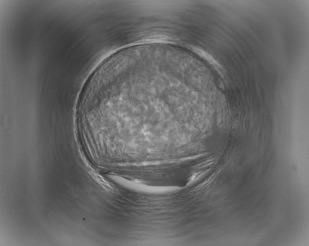 X0000072521423200608111708