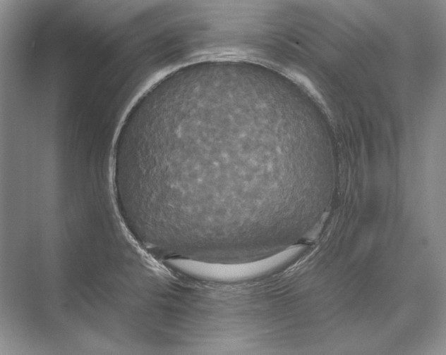 X0000072521424200608111708