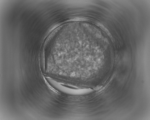 X0000072521425200608111708