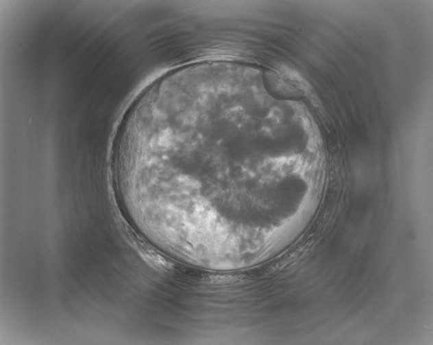 X0000072521427200608111708