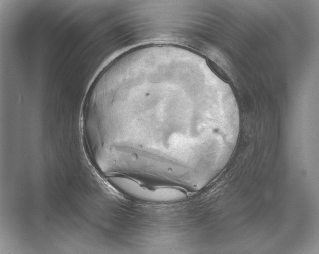 X0000072521428200608111708