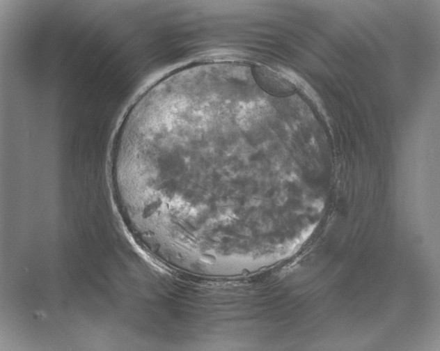 X0000072521429200608111708