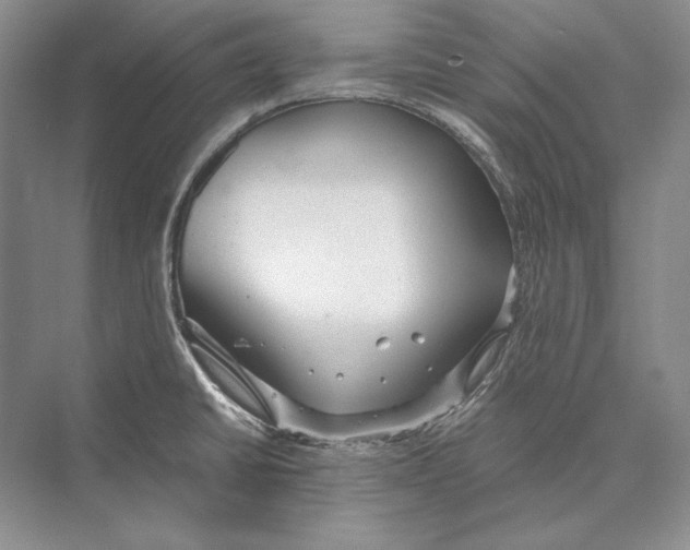 X0000072521430200608111708