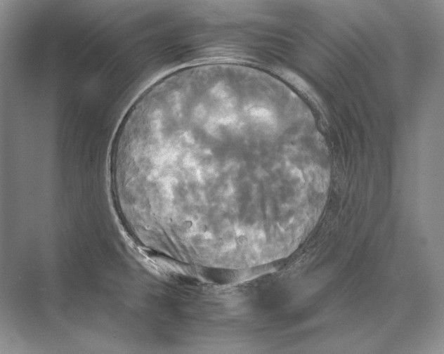 X0000072521431200608111708