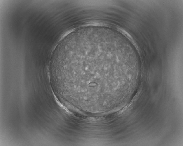 X0000072521433200608111708