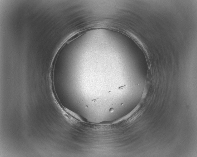 X0000072521434200608111708