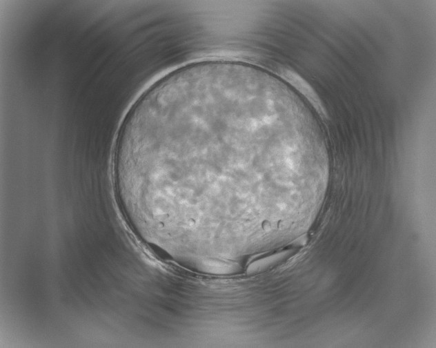 X0000072521436200608111708