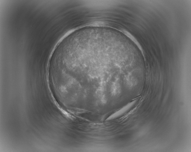 X0000072521437200608111708