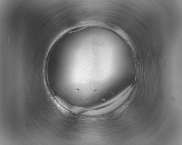 X0000072521438200608111708