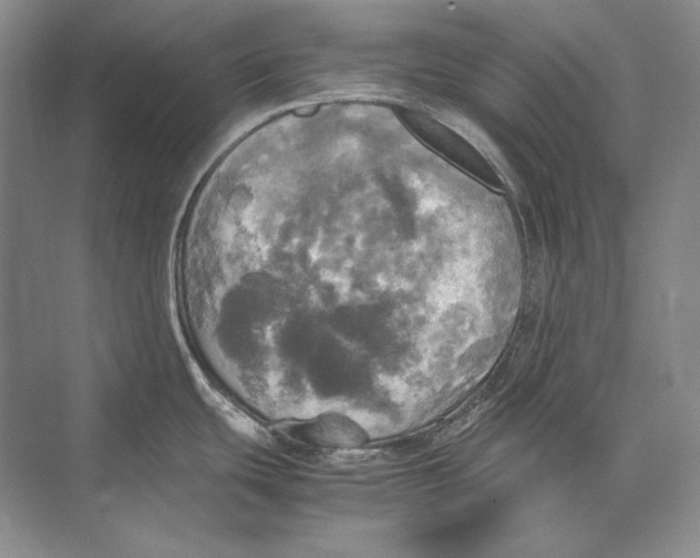 X0000072521439200608111709