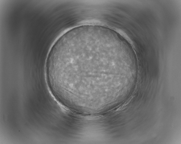 X0000072521440200608111709