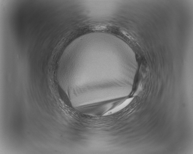 X0000072521441200608111708