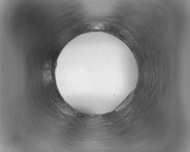 X0000072521442200608111708