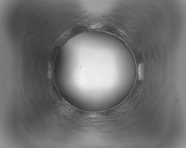 X0000072521443200608111708