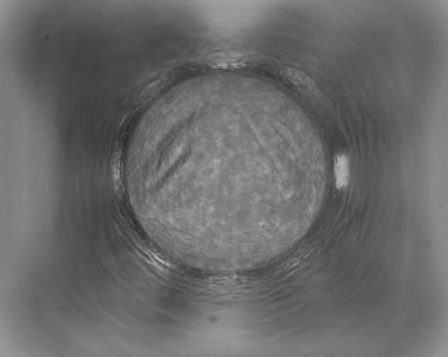 X0000072521444200608111708