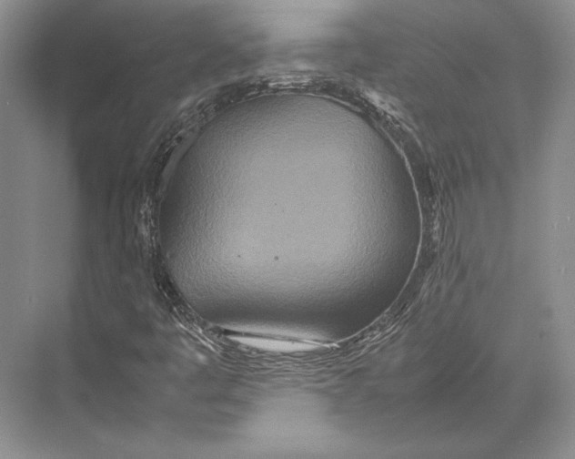 X0000072521445200608111708