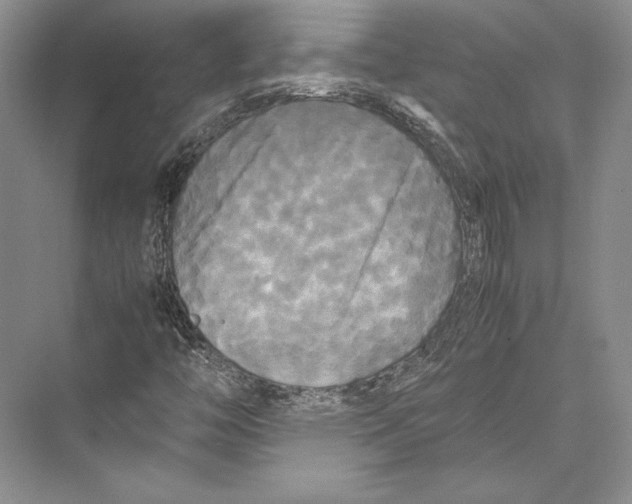 X0000072521446200608111708