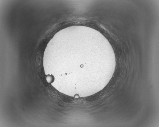 X0000072521447200608111708