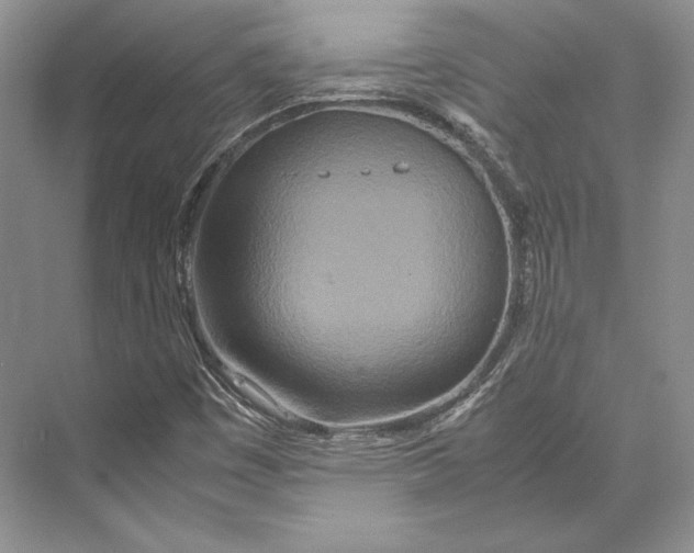 X0000072521449200608111708