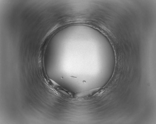 X0000072521450200608111708