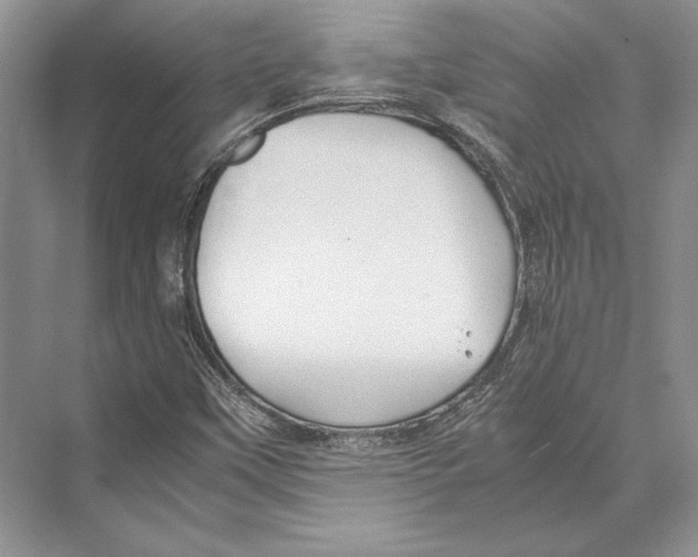 X0000072521451200608111708