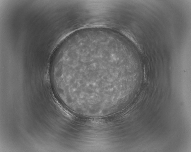 X0000072521452200608111708