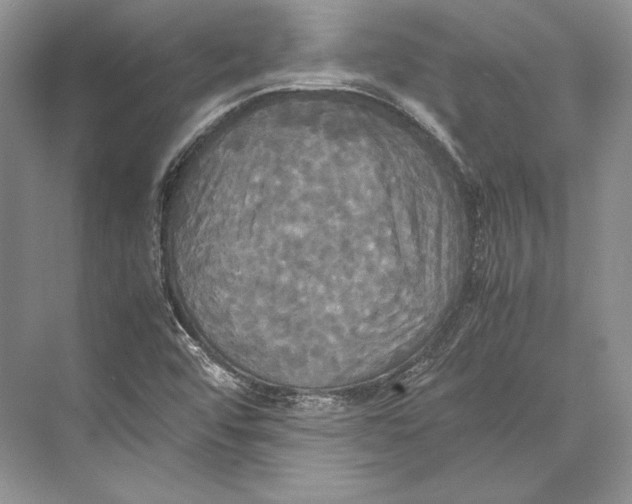 X0000072521456200608111707