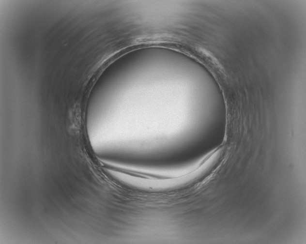 X0000072521457200608111707