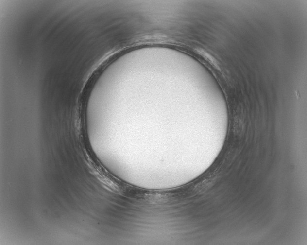 X0000072521458200608111707