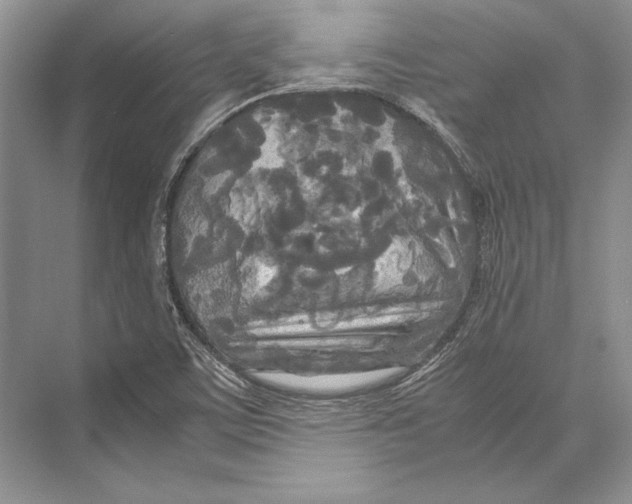 X0000072521459200608111707