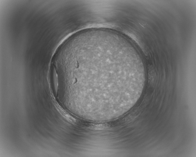 X0000072521460200608111707