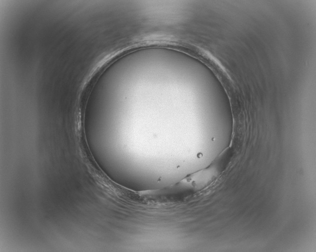 X0000072521461200608111707