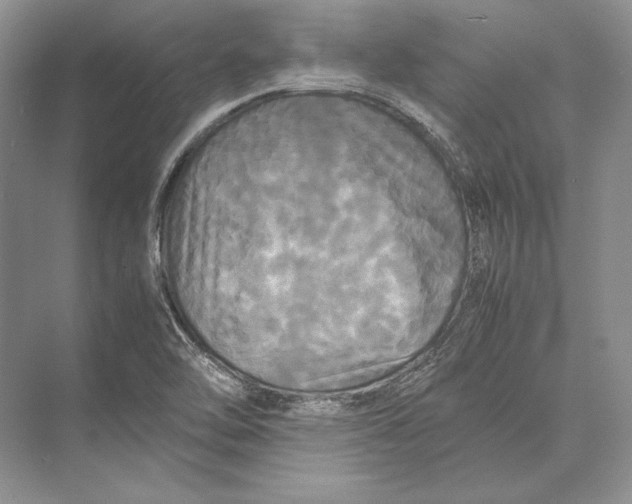 X0000072521462200608111707