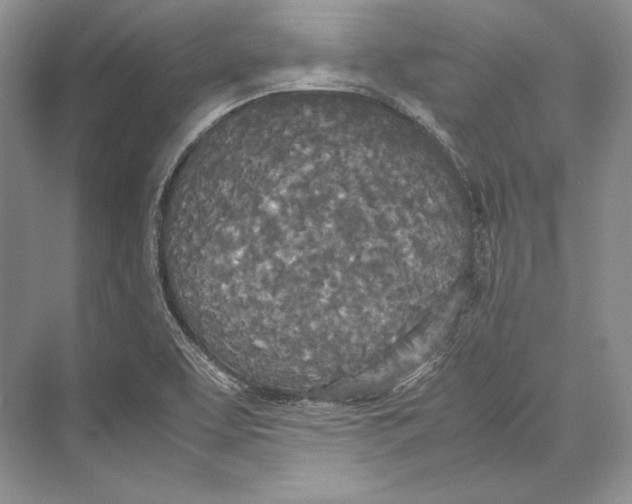 X0000072521463200608111707