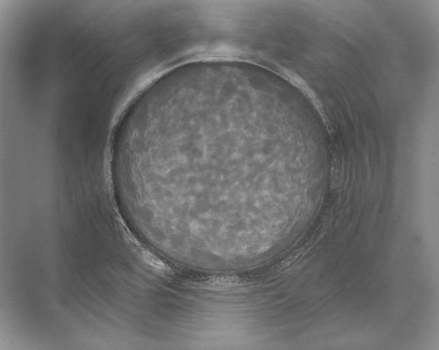 X0000072521464200608111707