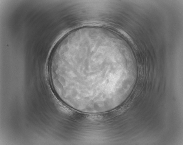 X0000072521466200608111707