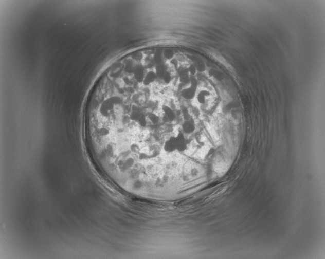 X0000072521467200608111707