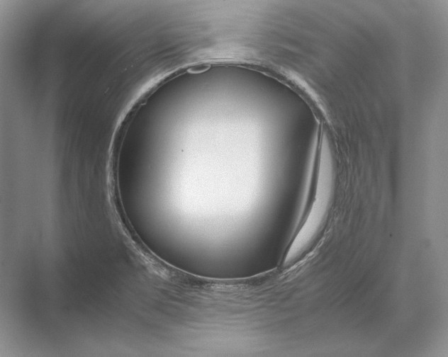 X0000072521469200608111707