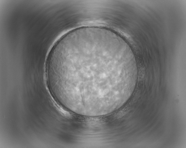 X0000072521470200608111707