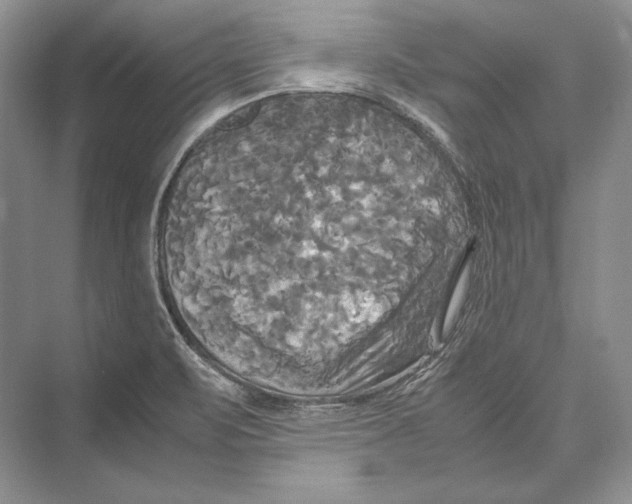 X0000072521471200608111707