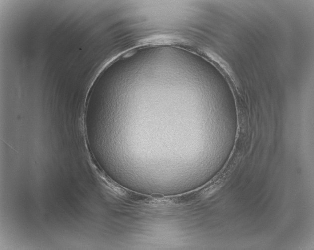 X0000072521473200608111707