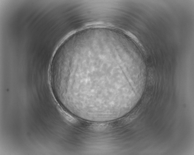 X0000072521474200608111707