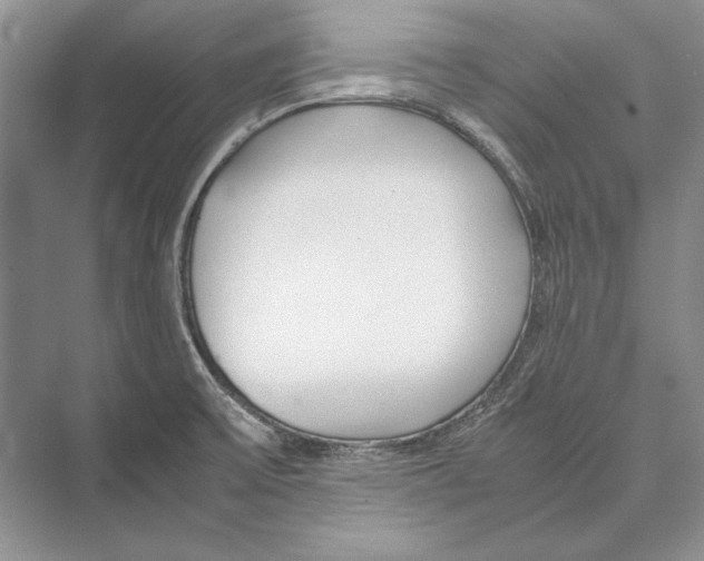 X0000072521475200608111707